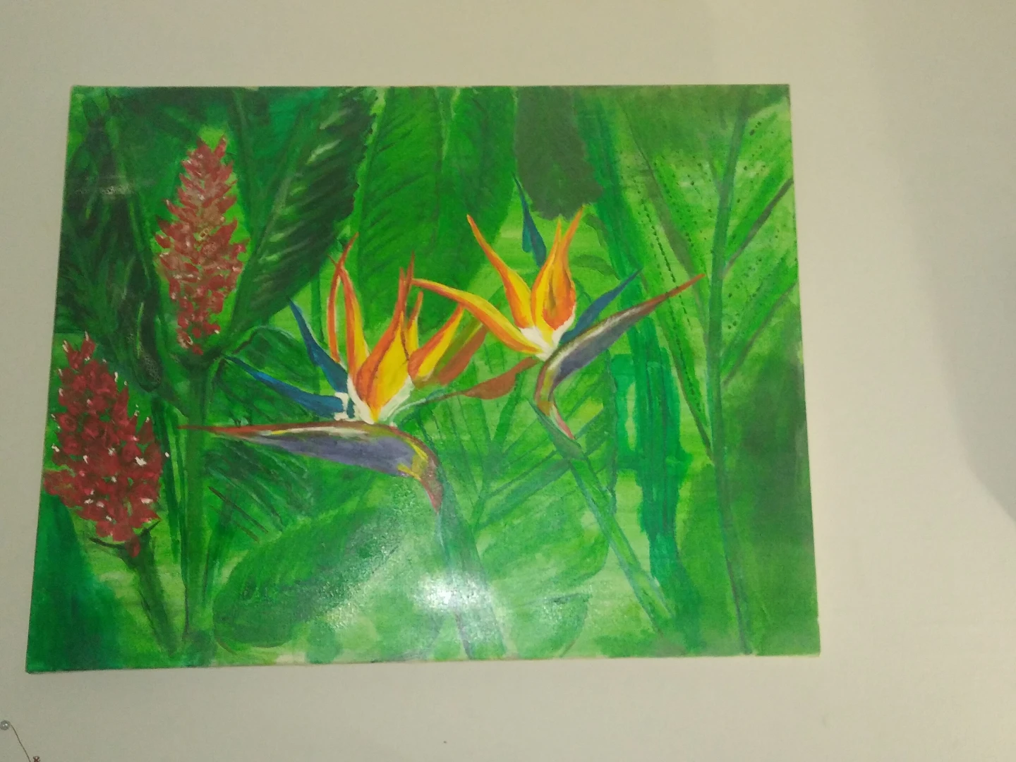 Bird of paradise