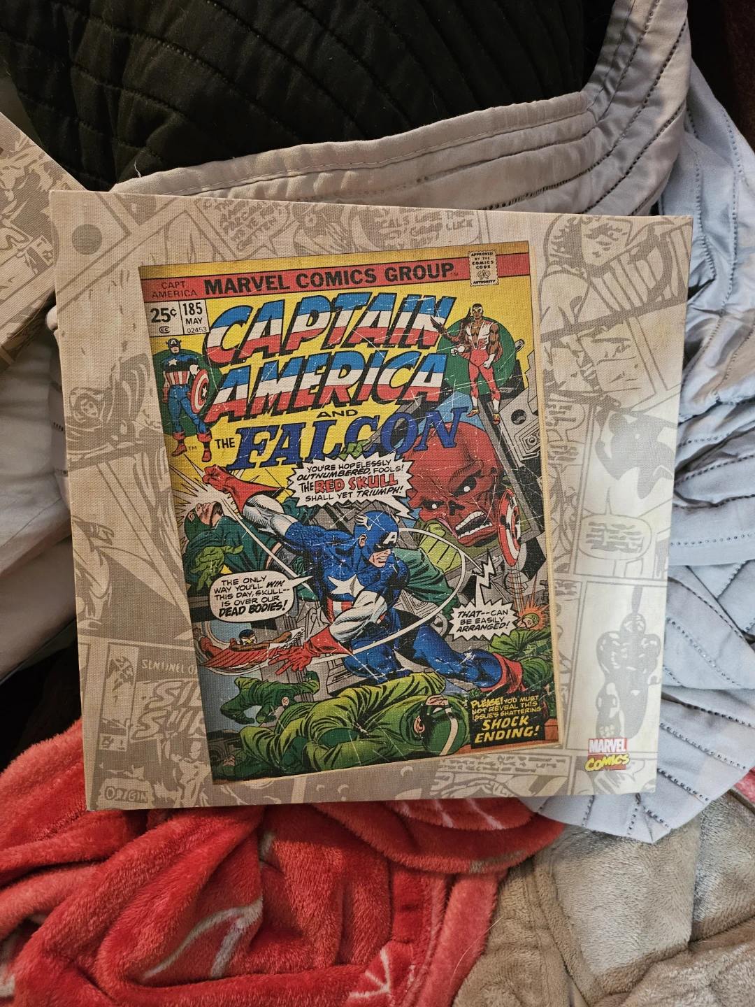 Captain America and Falcon Canvas Art