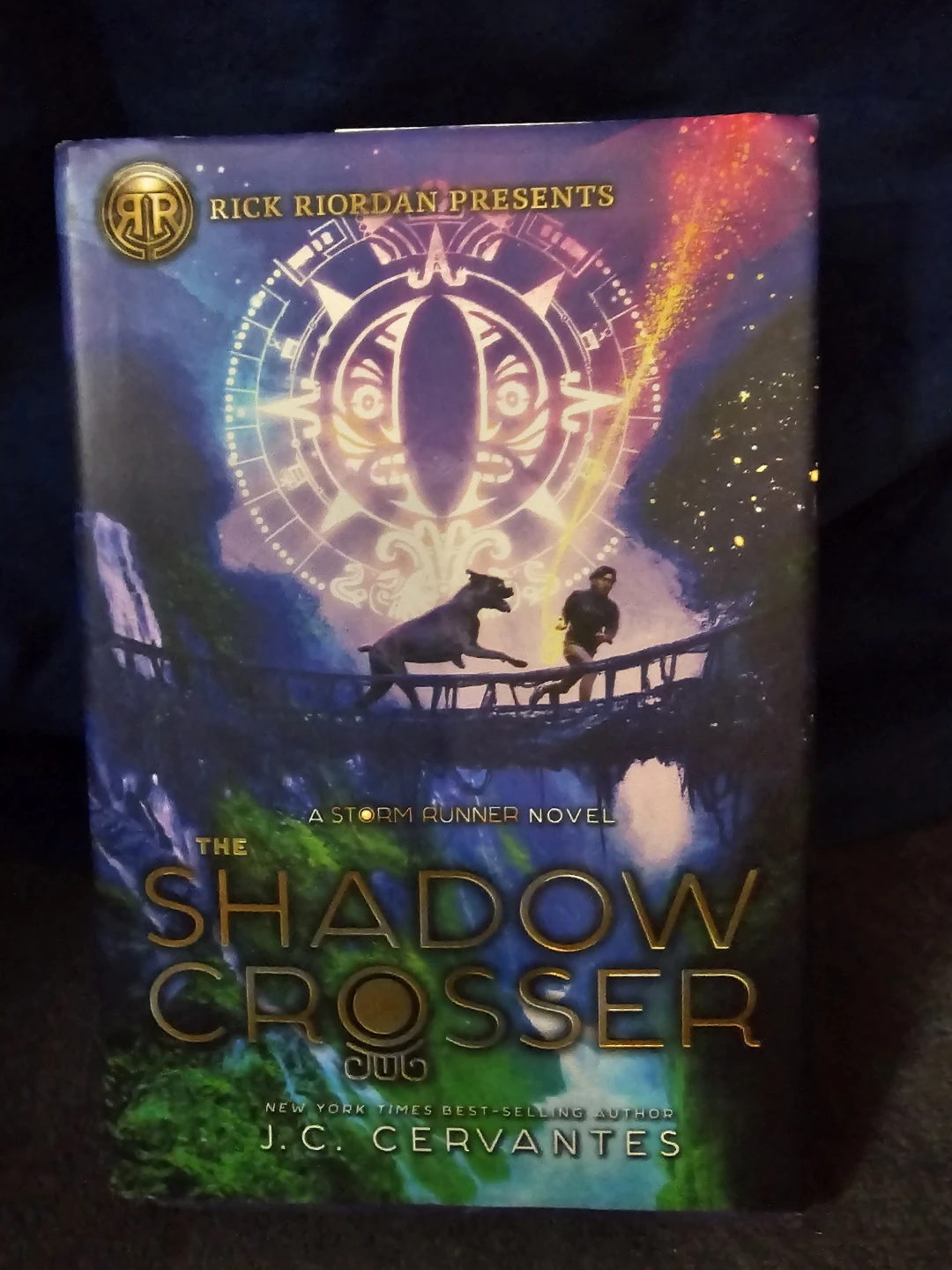 The Shadow Crosser: A Storm Runner Novel