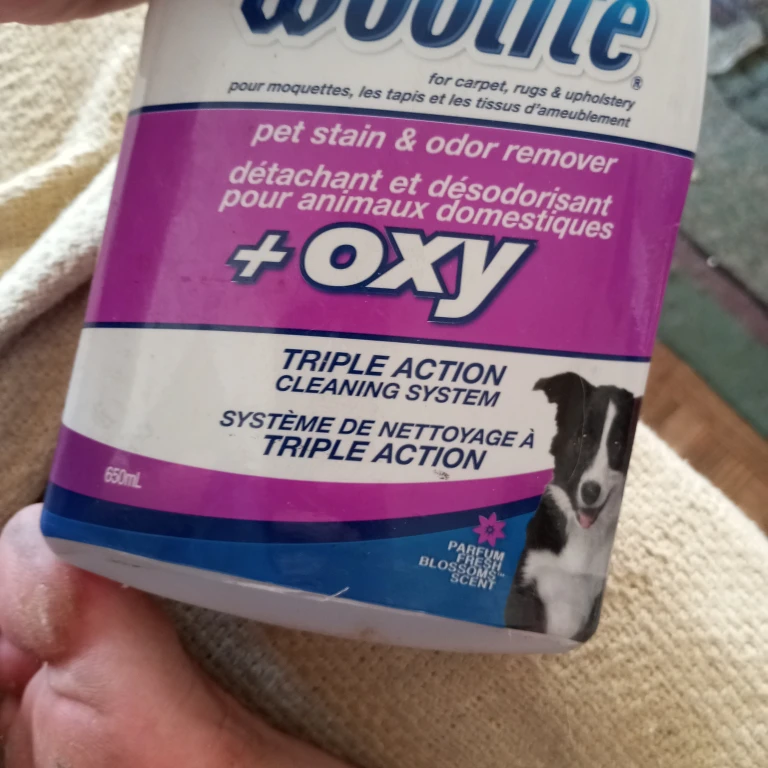 Woolite Pet Stain & Odor Remover + Oxy - photo 3