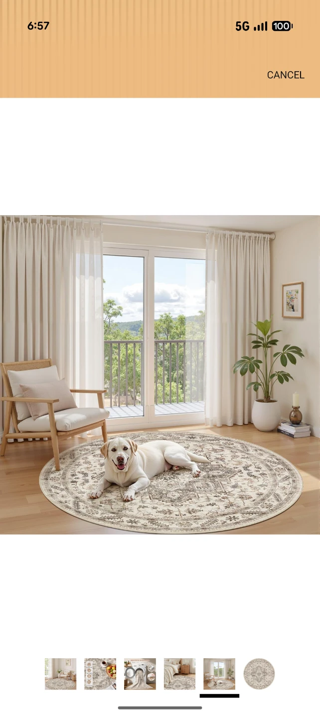 Round Area Rug - photo 3