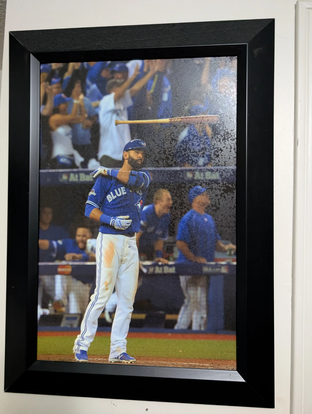 Framed Toronto Blue Jays Photo