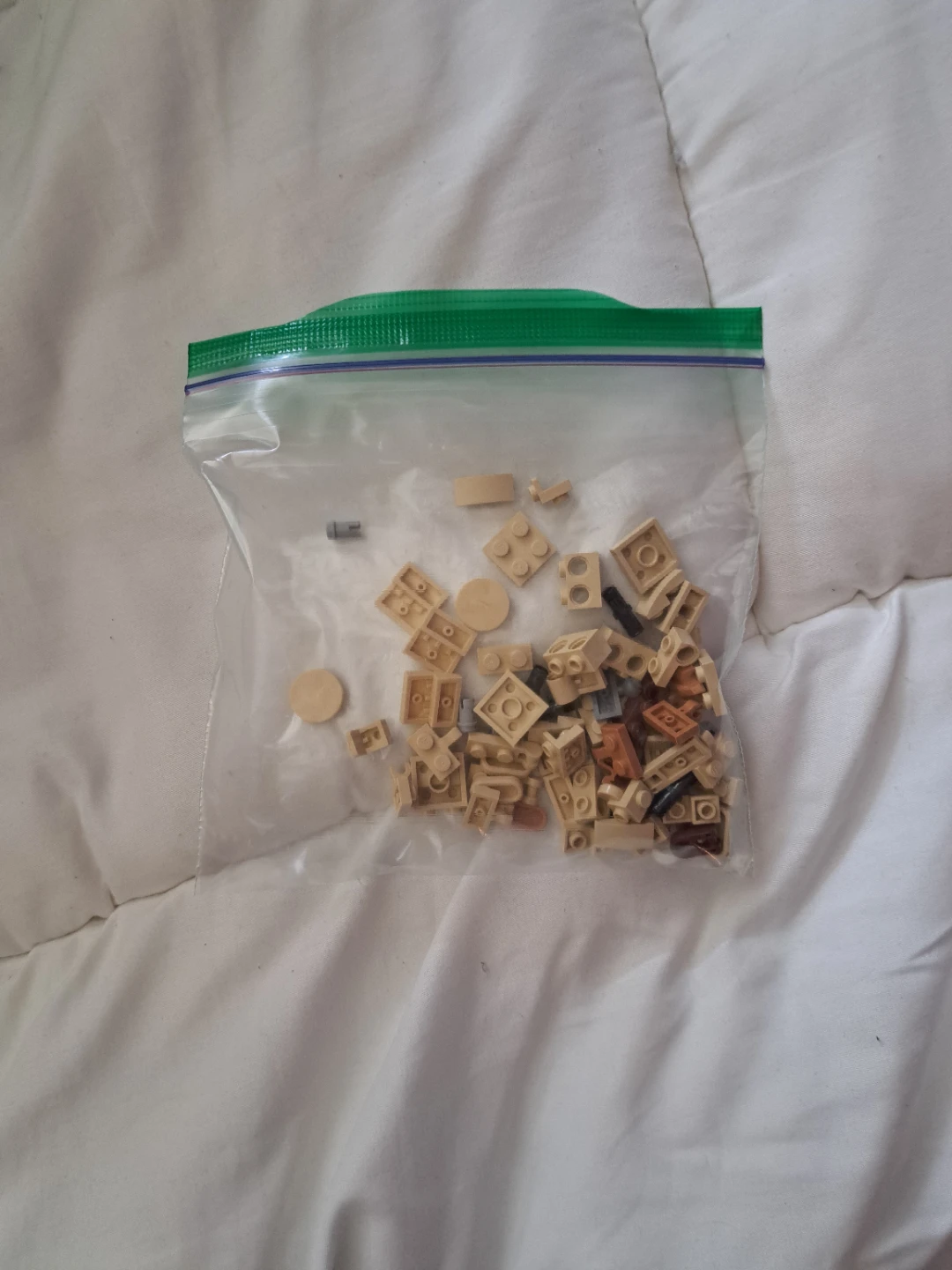 LEGO Creator Gift Animals 3-in-1 - photo 4