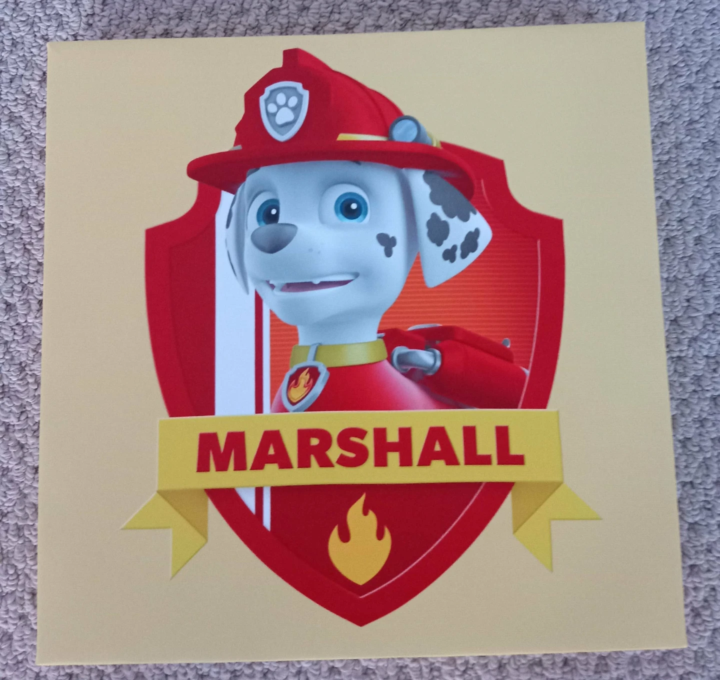 Nickelodeon Paw Patrol 4 Pack Canvas Set ⚽ - photo 4