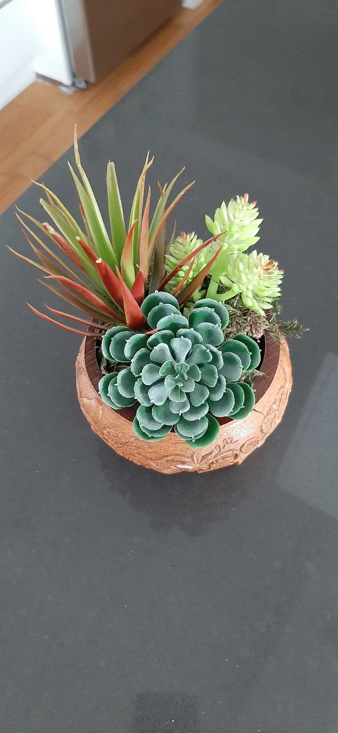 Artificial Succulent Arrangement in Decorative Pot