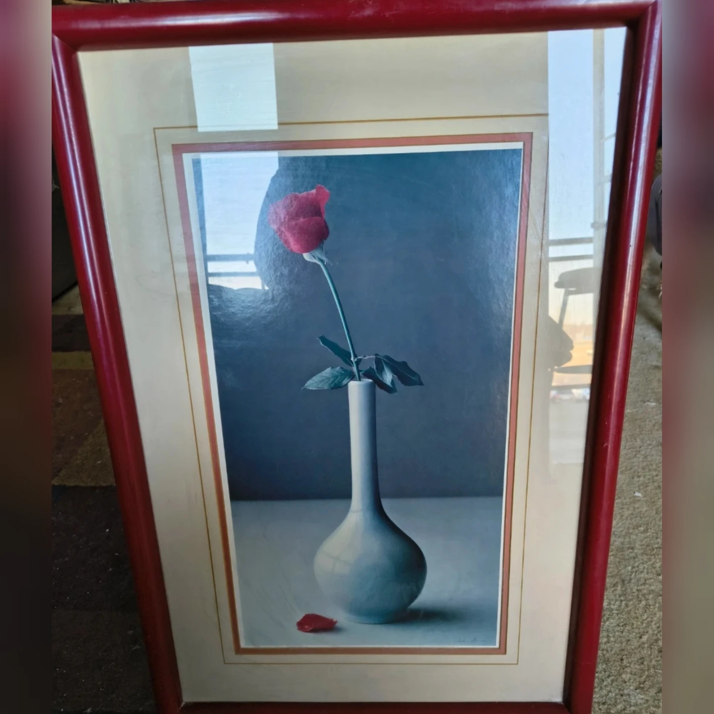 ⚽   Framed rose pic
