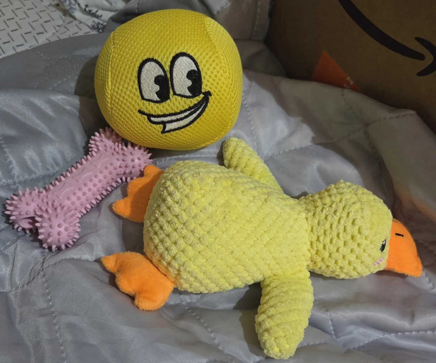 New Dog toys