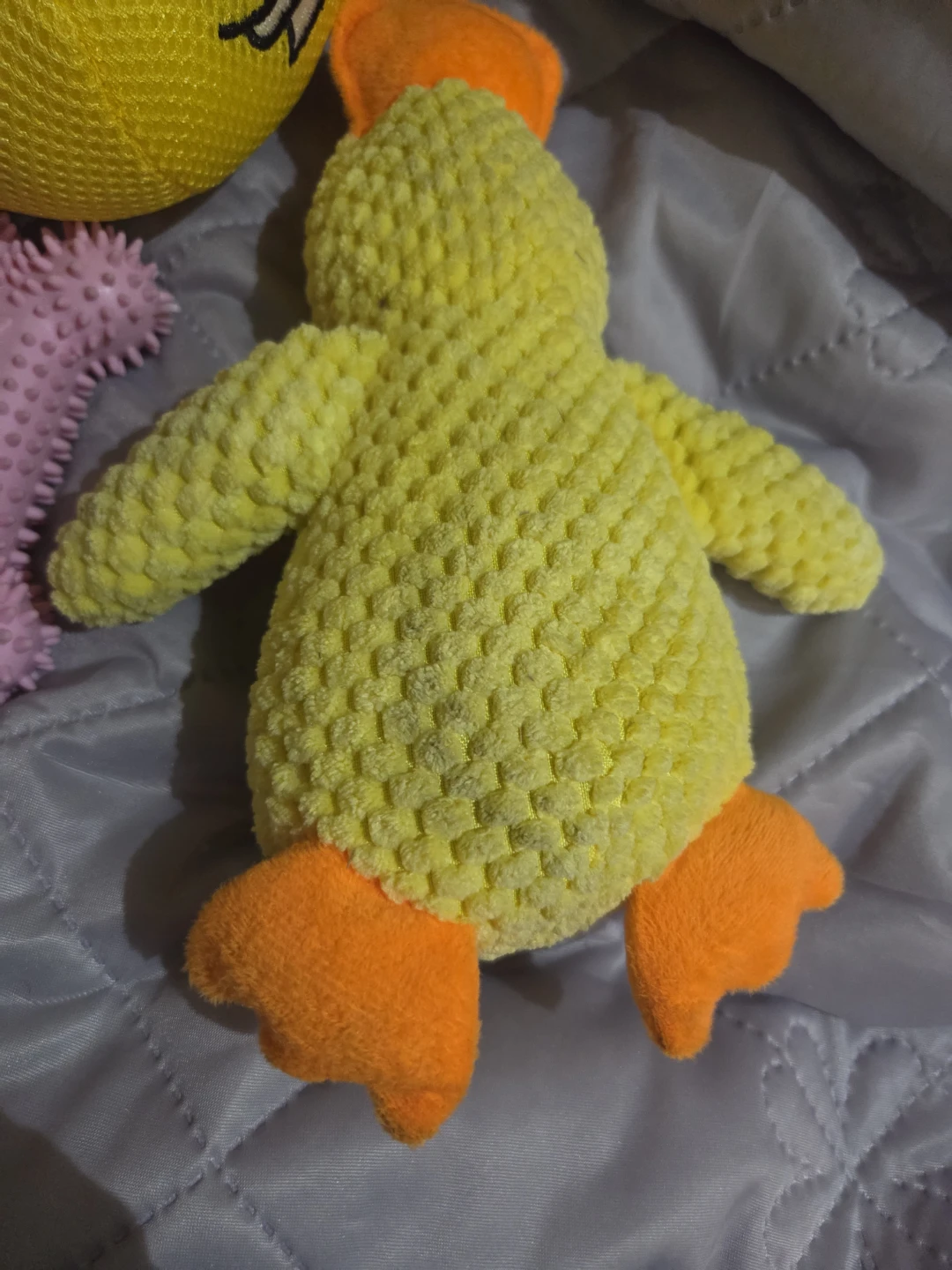 New Dog toys - photo 2