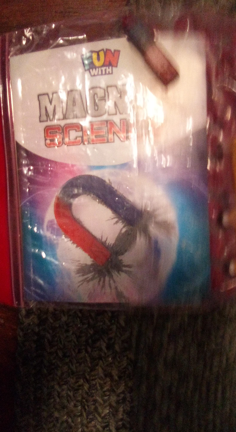 Fun With Magnets Science Kit - photo 2