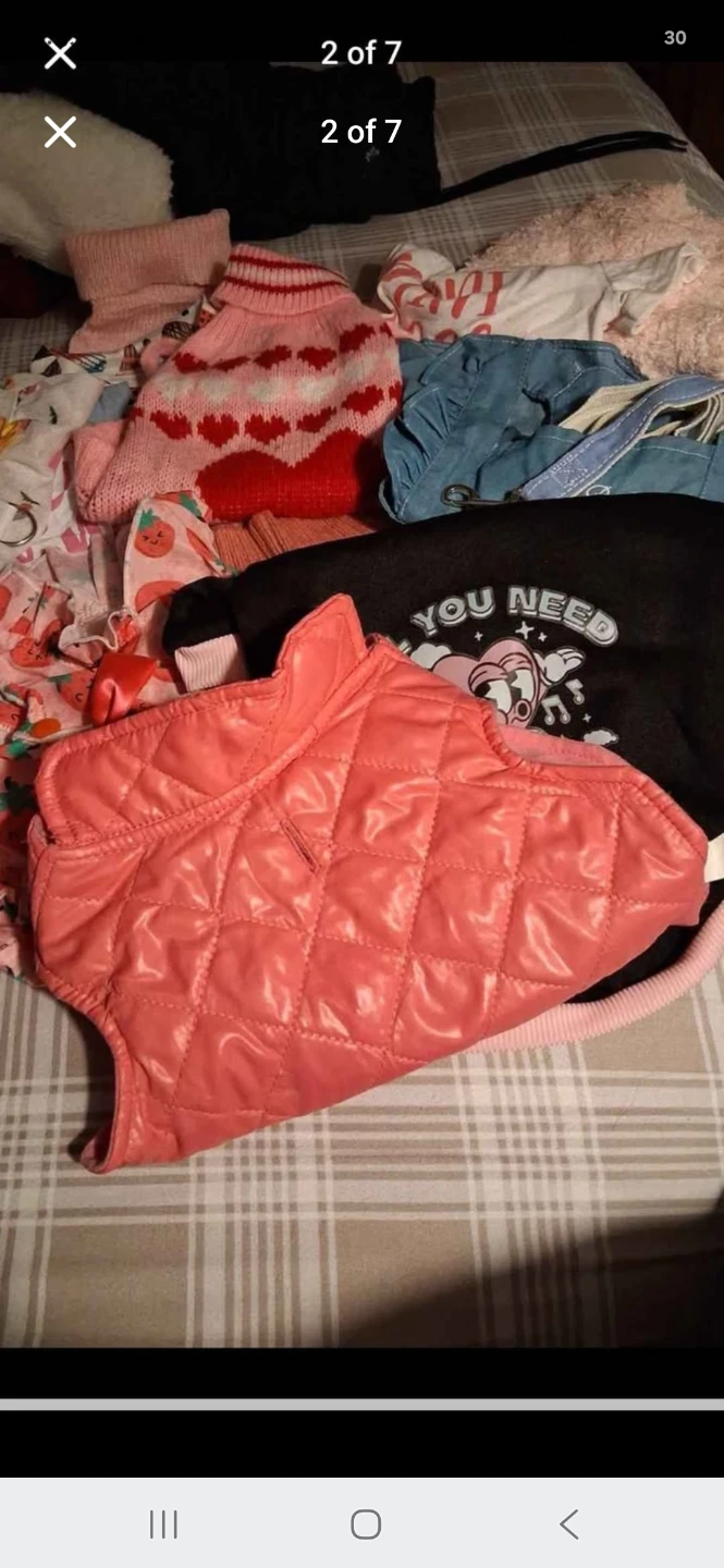 Pet clothing Dog - photo 2