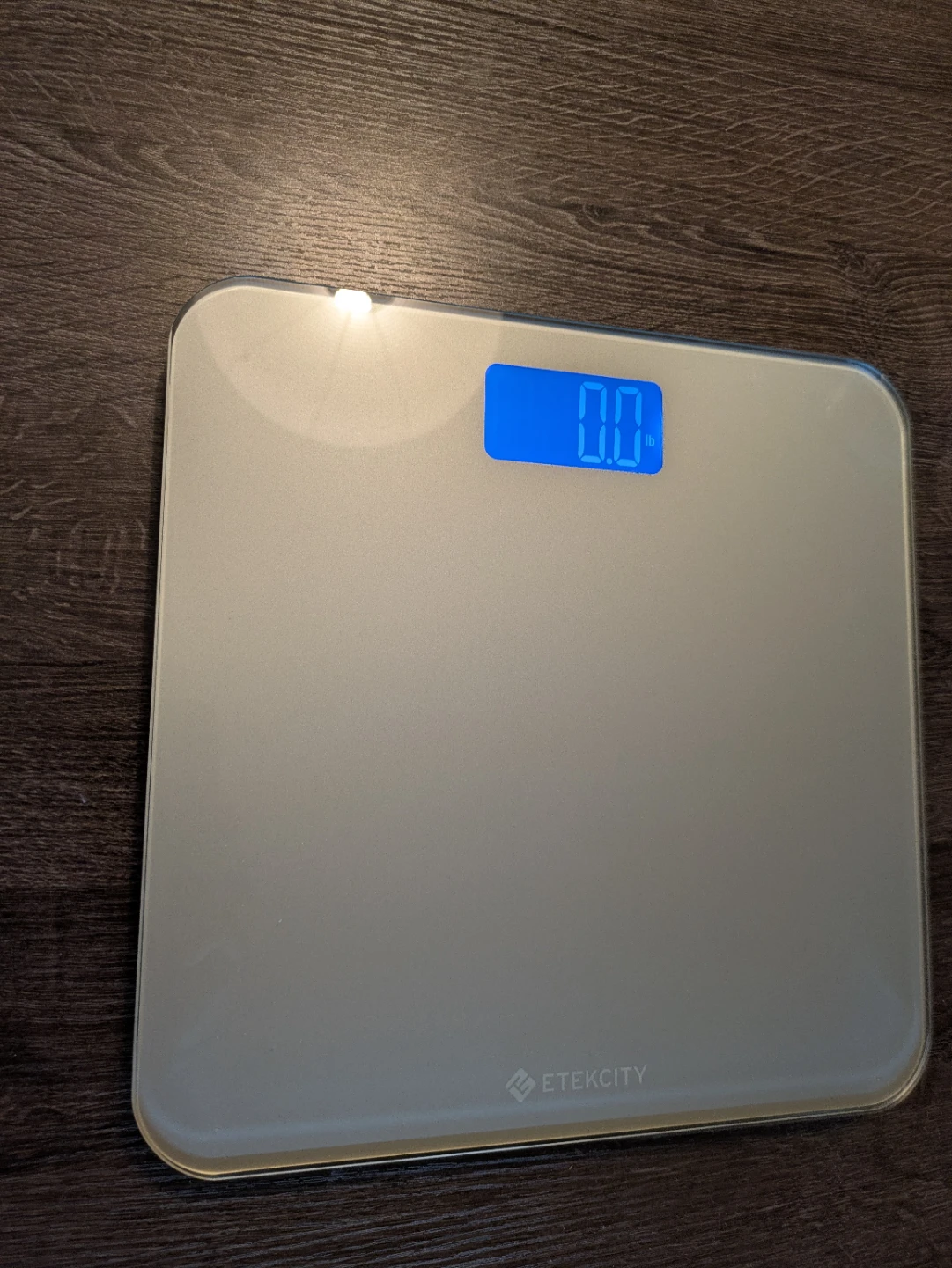 ETEKCITY Digital Weight Scale
