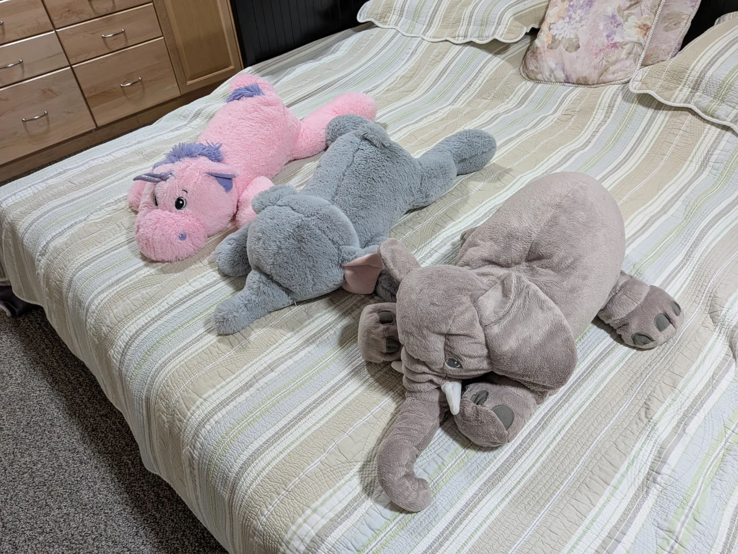 3 Large Stuffed Animals ⚽