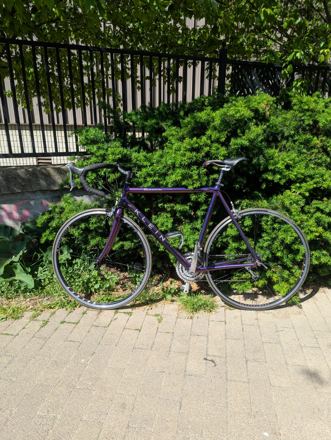 Vintage Klein Quantum Road Bike - Plum Crazy