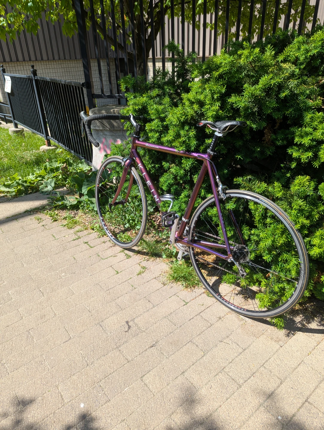 Vintage Klein Quantum Road Bike - Plum Crazy - photo 3