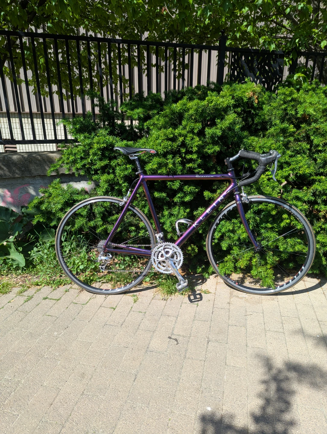 Vintage Klein Quantum Road Bike - Plum Crazy - photo 5