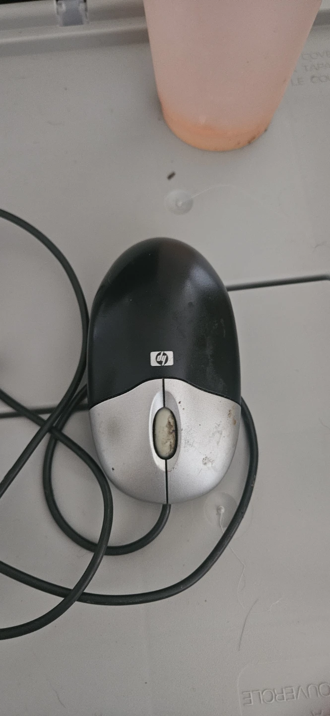 HP Wired Optical Mouse