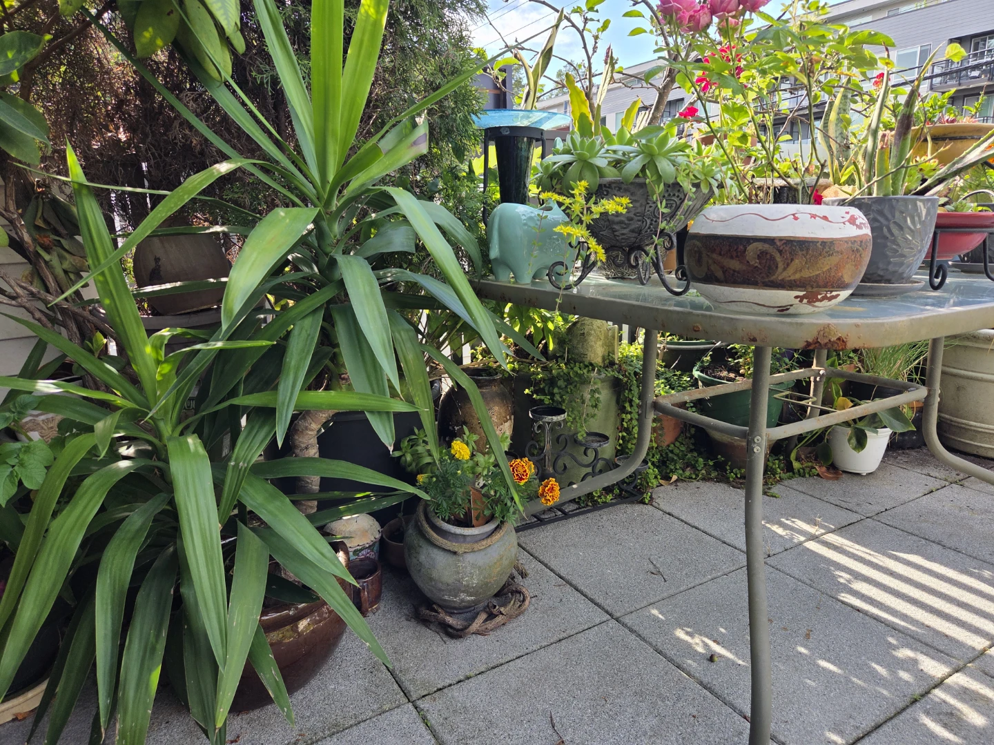 Assorted Potted Plants and Garden Decor