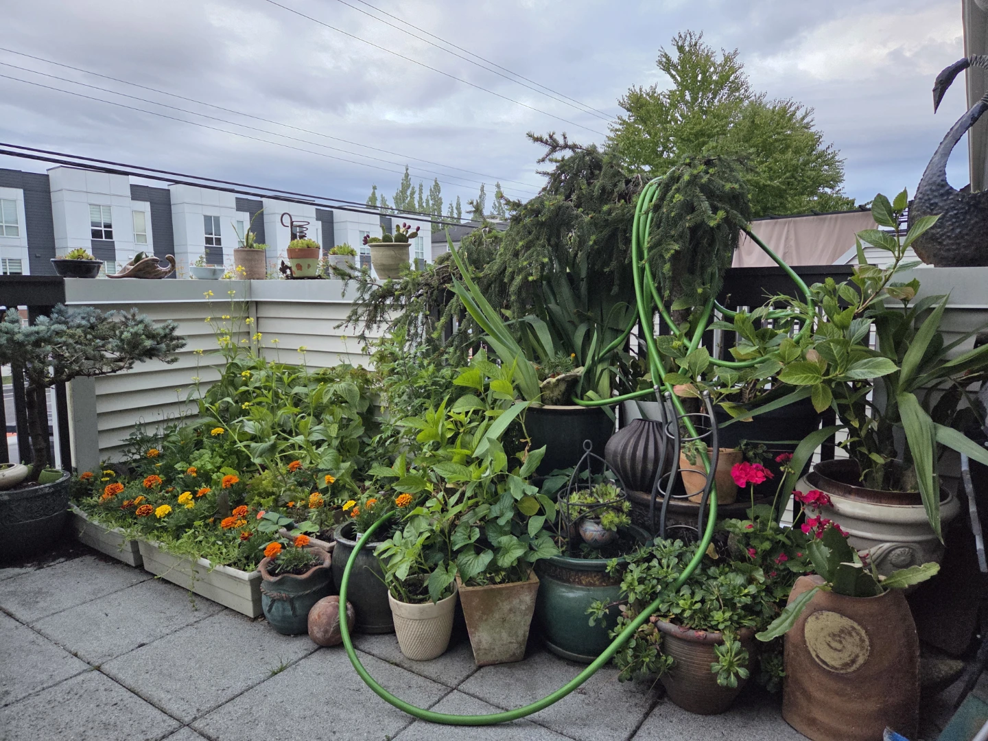 Assorted Potted Plants and Garden Decor - photo 3