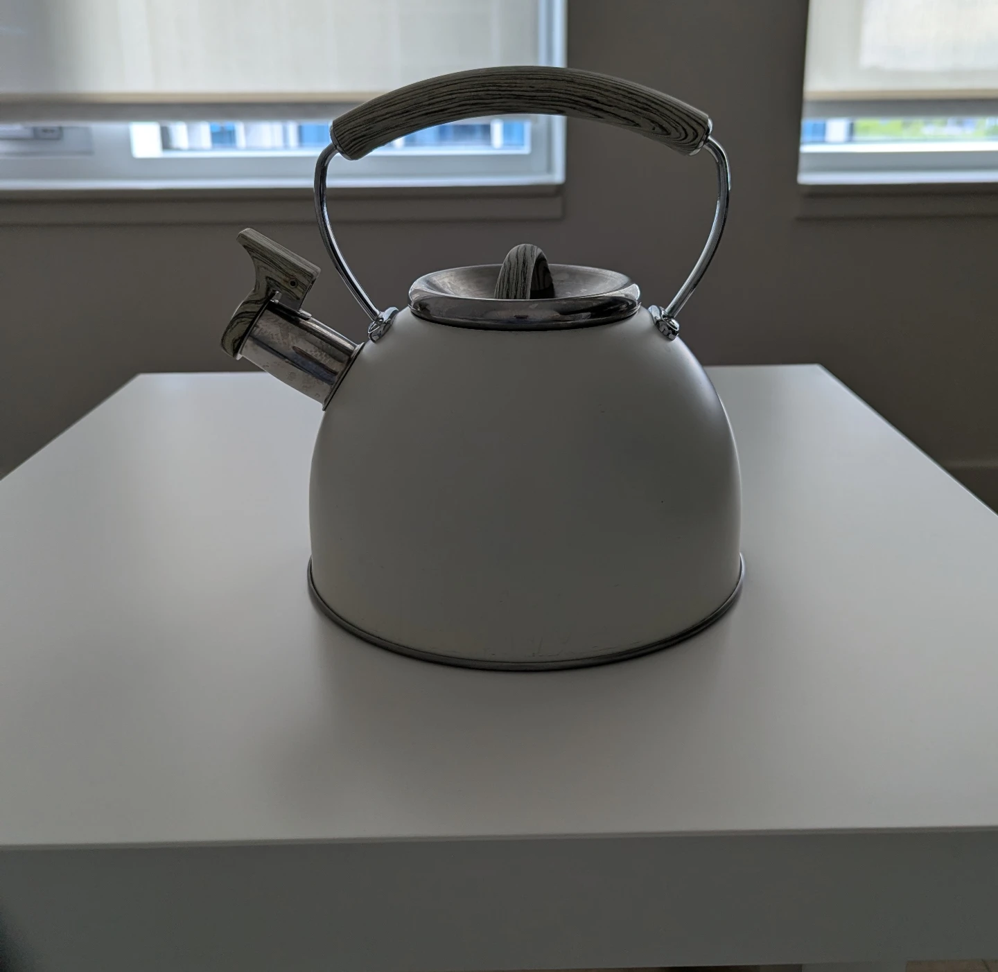 White Kettle with Wood-Look Handle