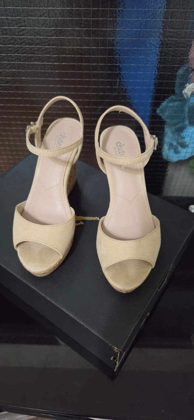 Charles David Wedge Sandals