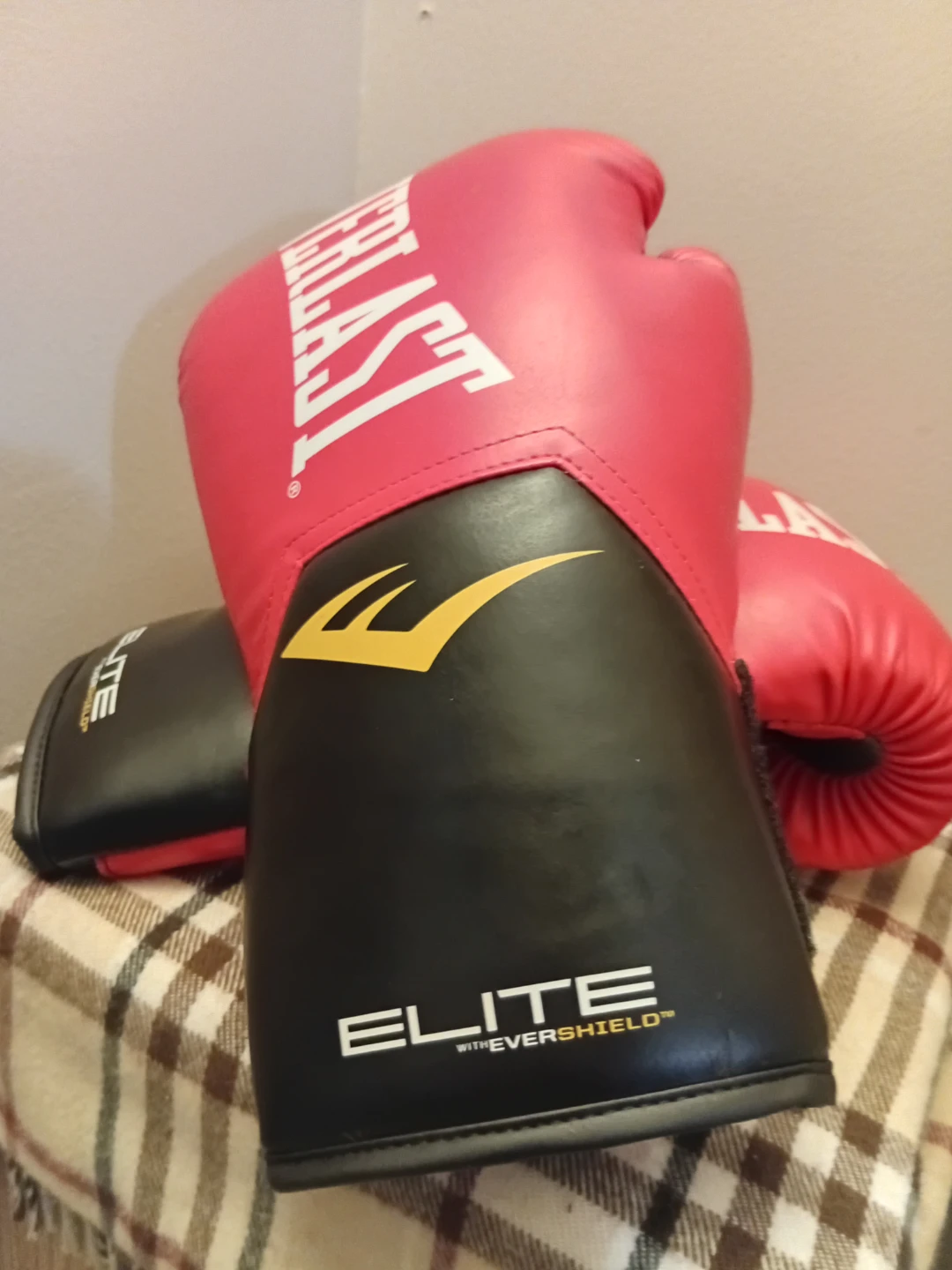 Everlast Elite Training Gloves