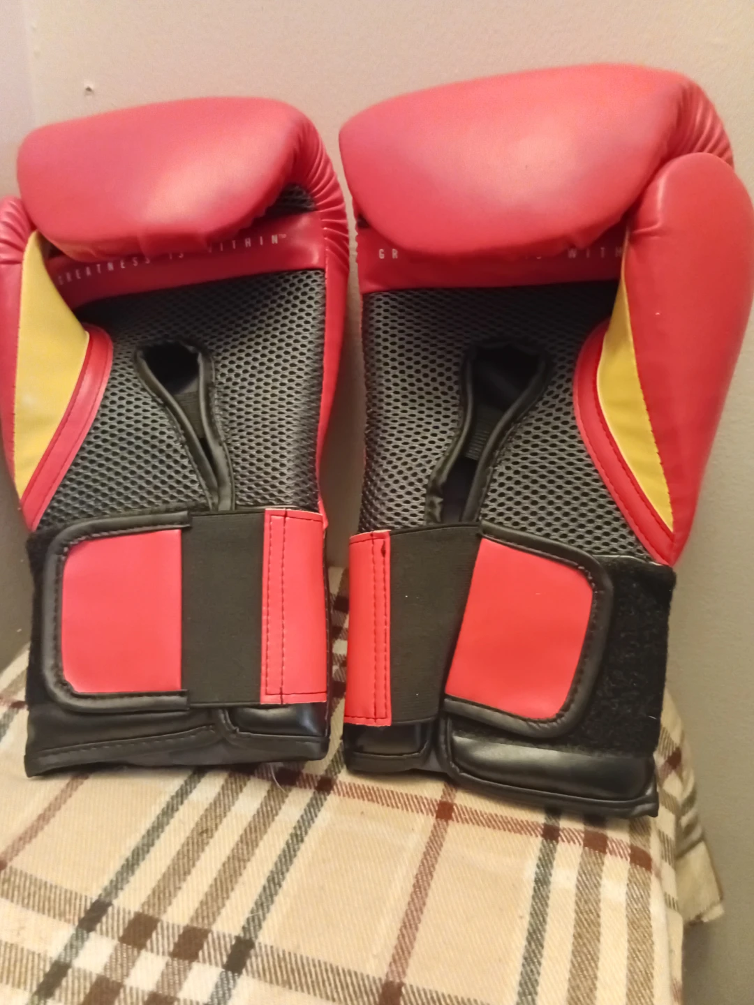 Everlast Elite Training Gloves - photo 2