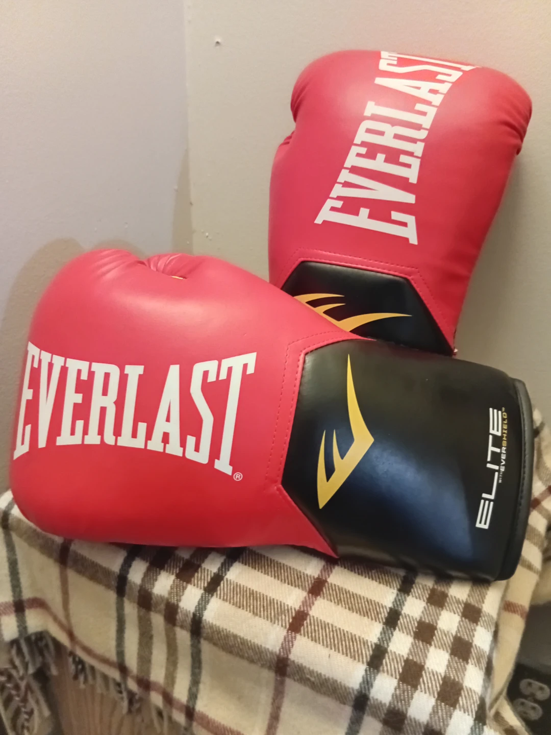 Everlast Elite Training Gloves - photo 3