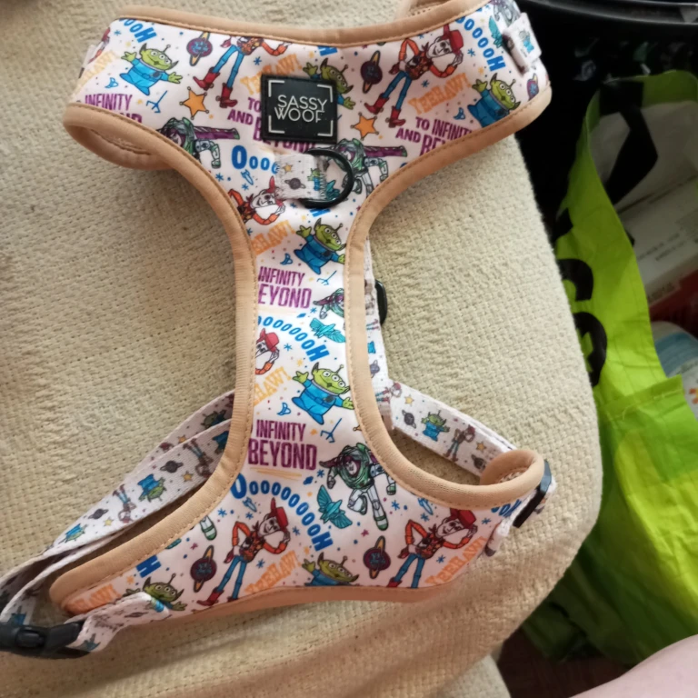 Sassy Woof Toy Story Dog Harness