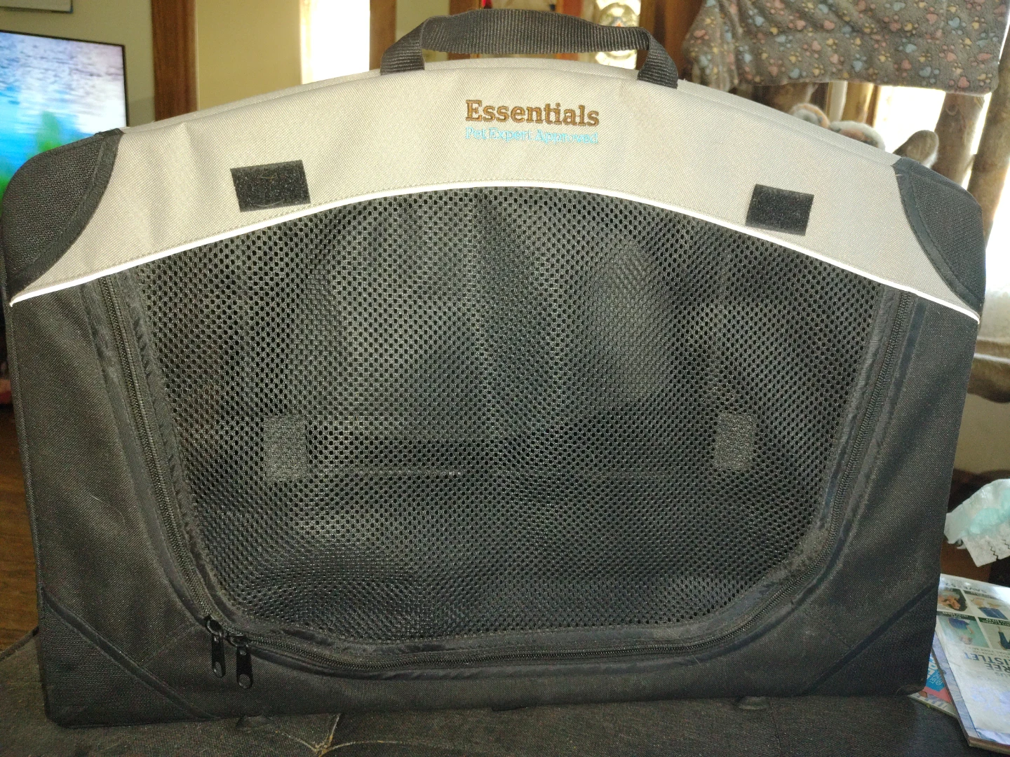 Cat or Pet Carrier