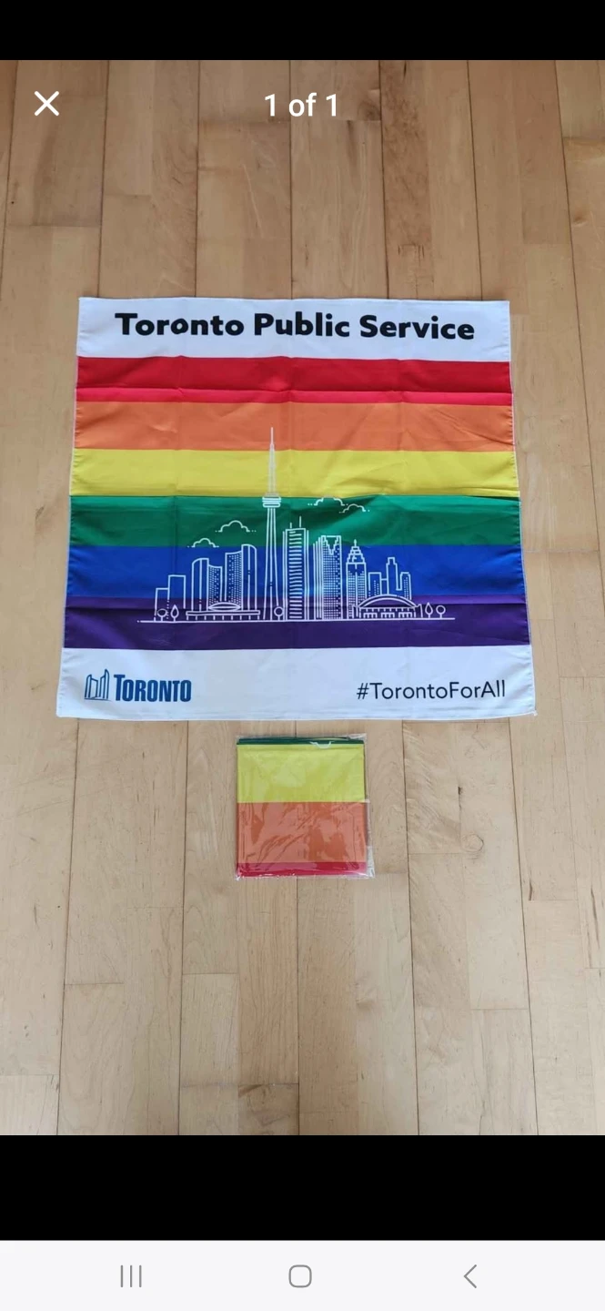 Toronto Public Service Pride Rainbow Flags