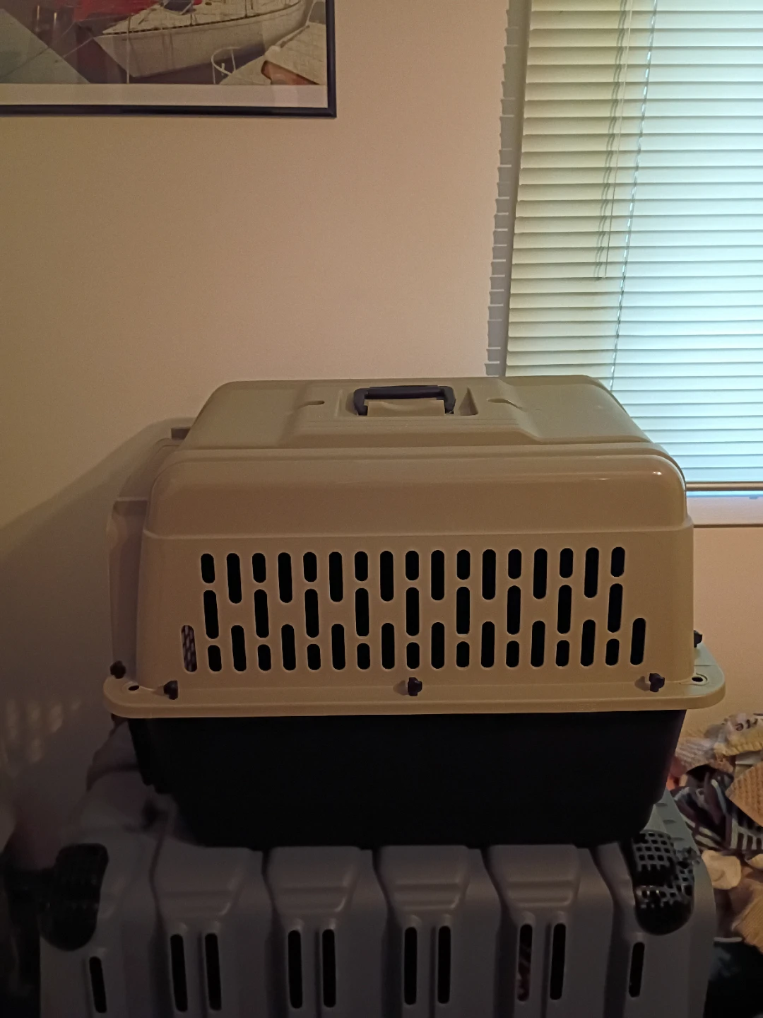 Top Paw Pet Carrier medium - photo 3