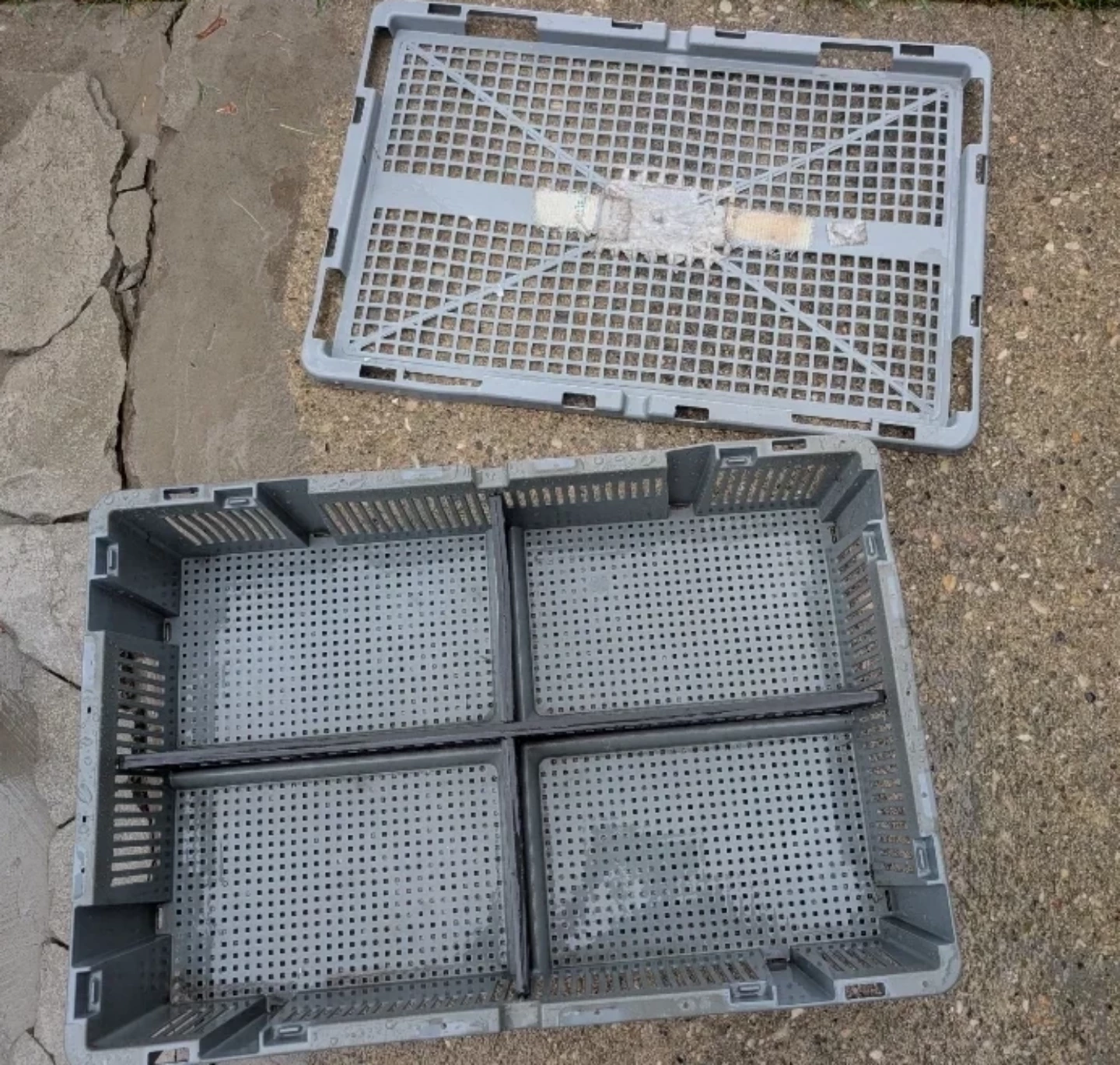 Grey Plastic Crate with Dividers and Lid