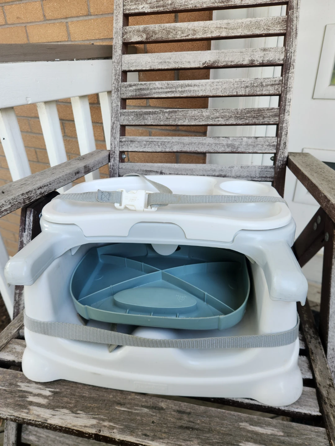 Fisher-Price Booster Seat with Tray
