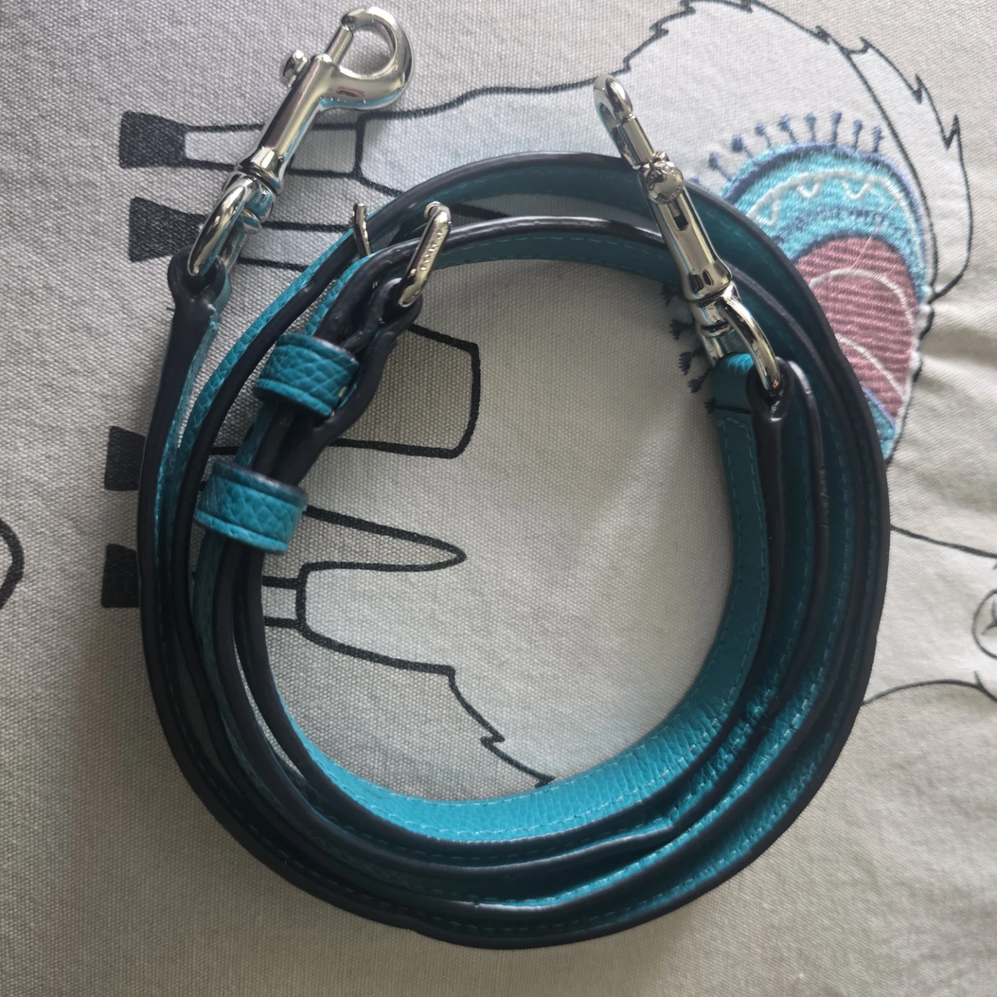 Coach Leather Crossbody Strap - Teal