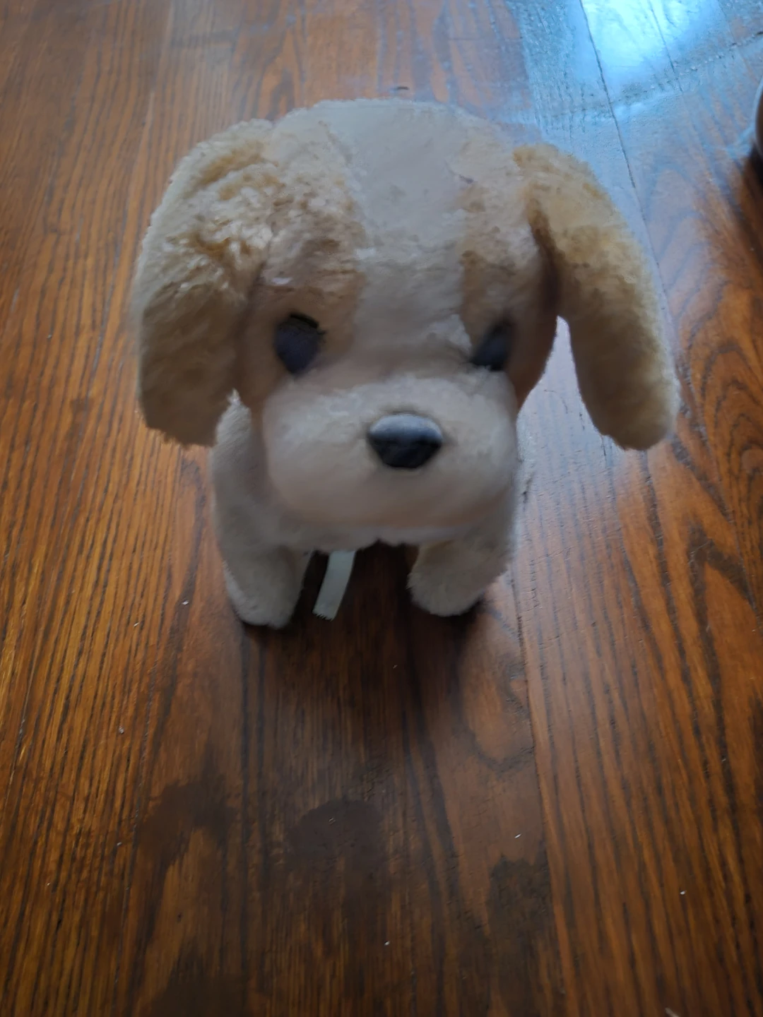 Plush Stuffed Puppy Dog Toy ⚽️