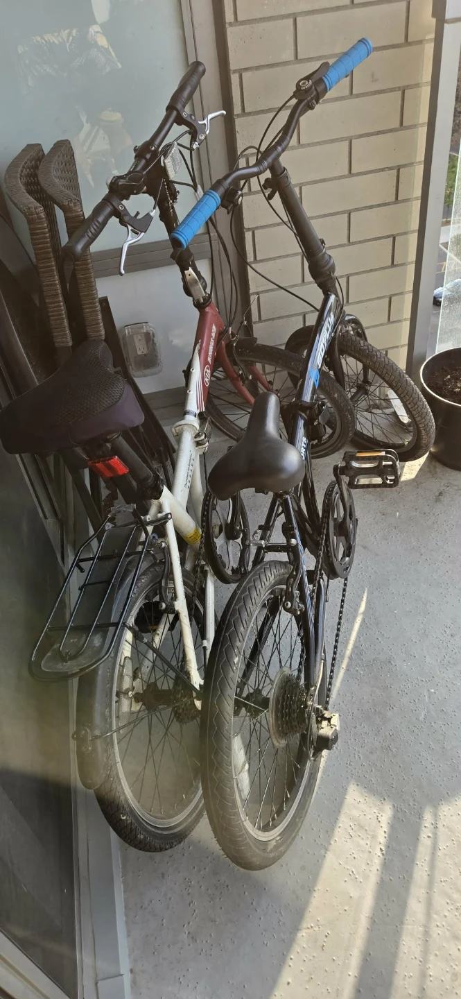 Folding Bicycle