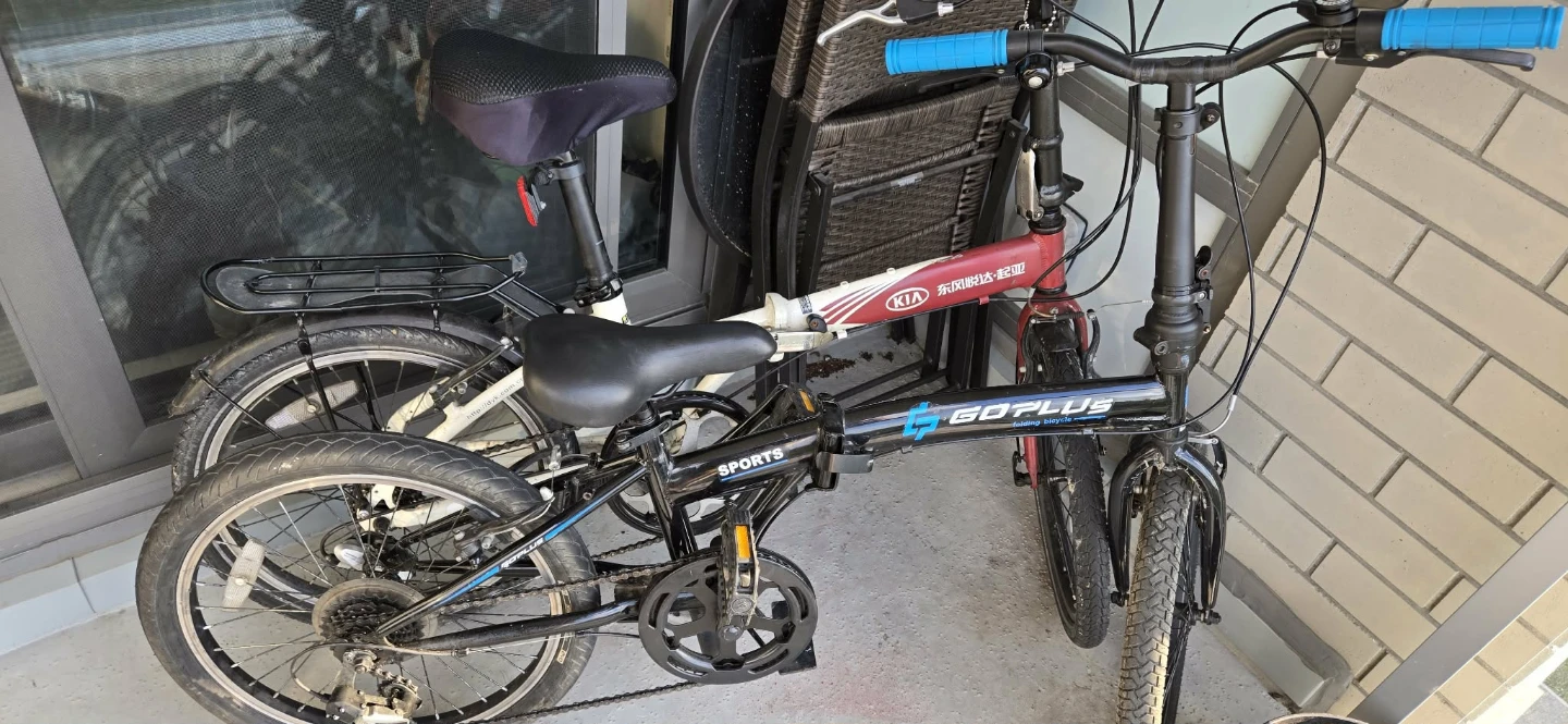 Folding Bicycle - photo 2