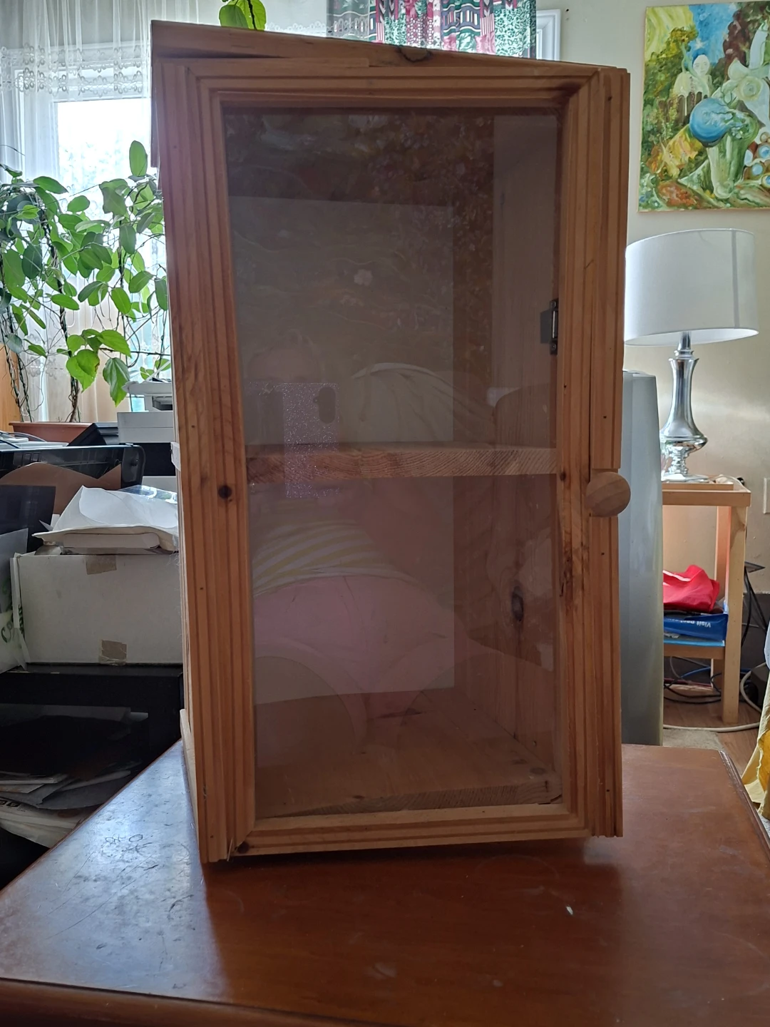 Wooden display cabinet with transparent door