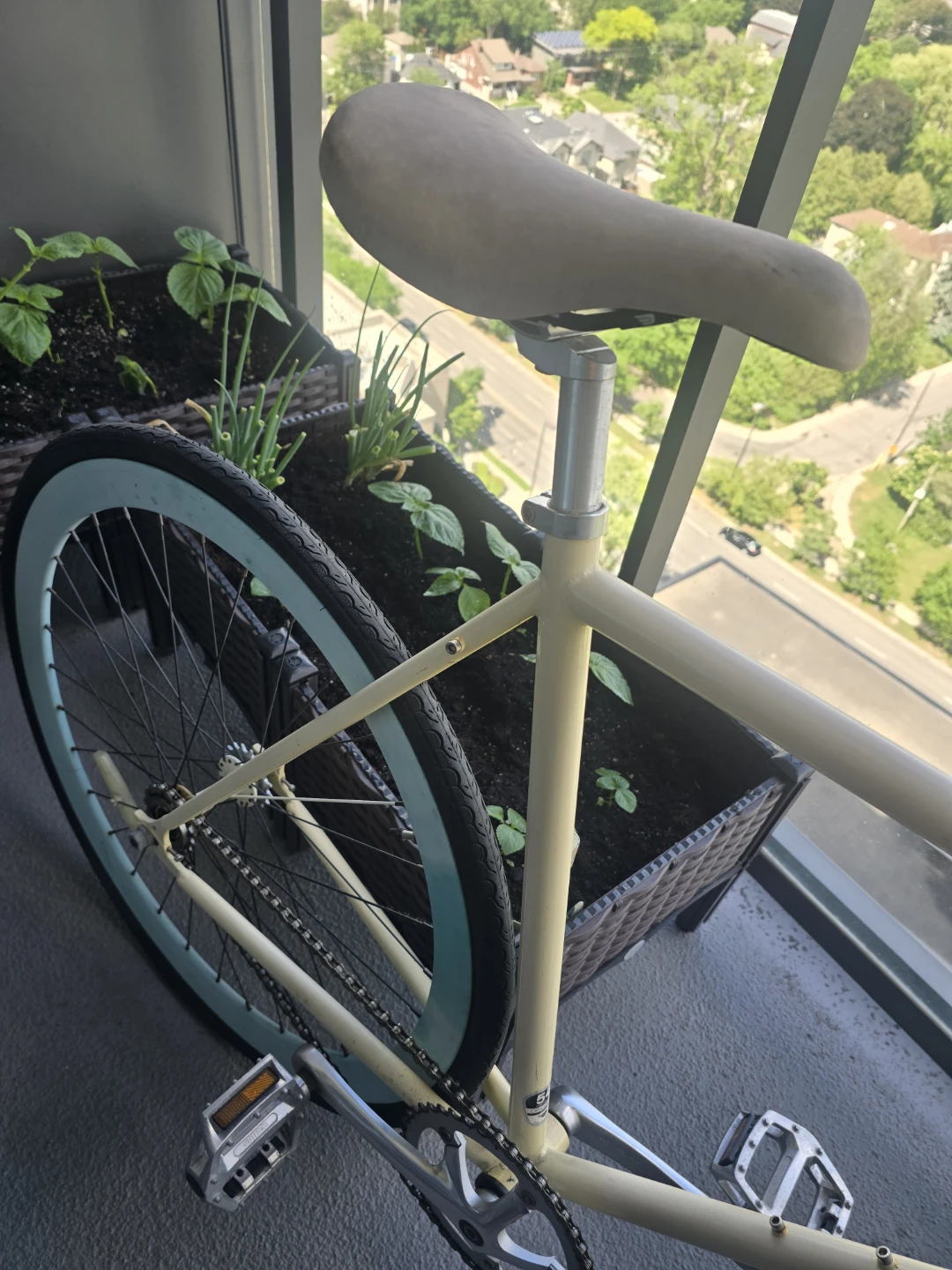 Purefix single gear road bike - photo 3