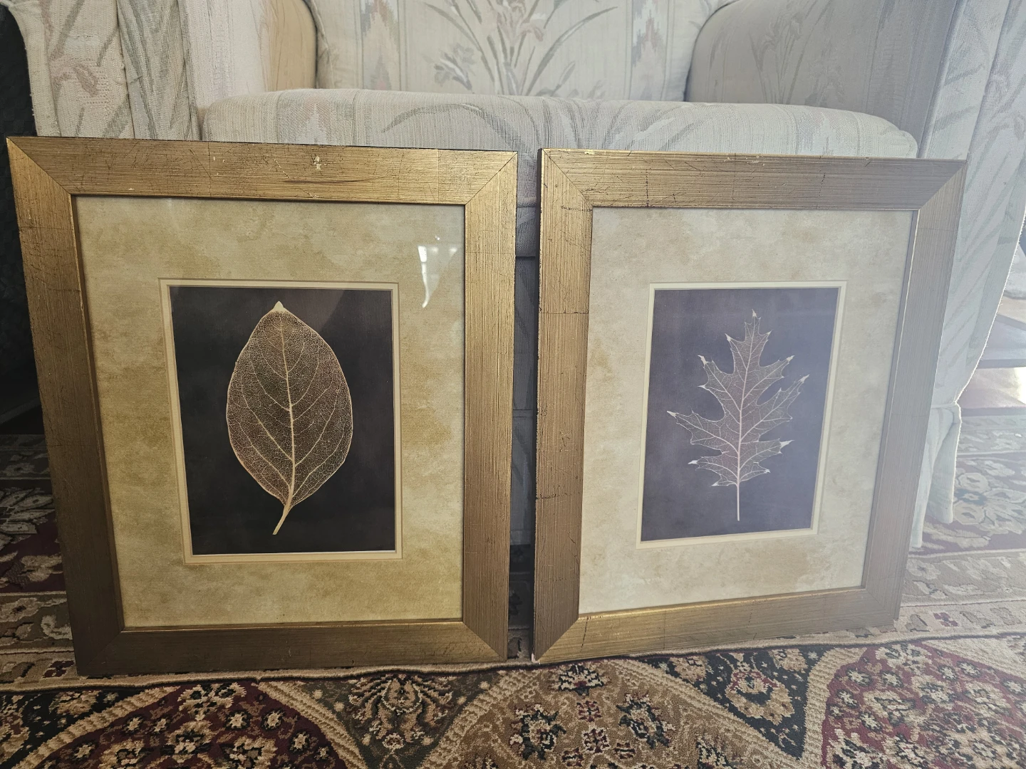 Set of 2 Framed Botanical Art Prints