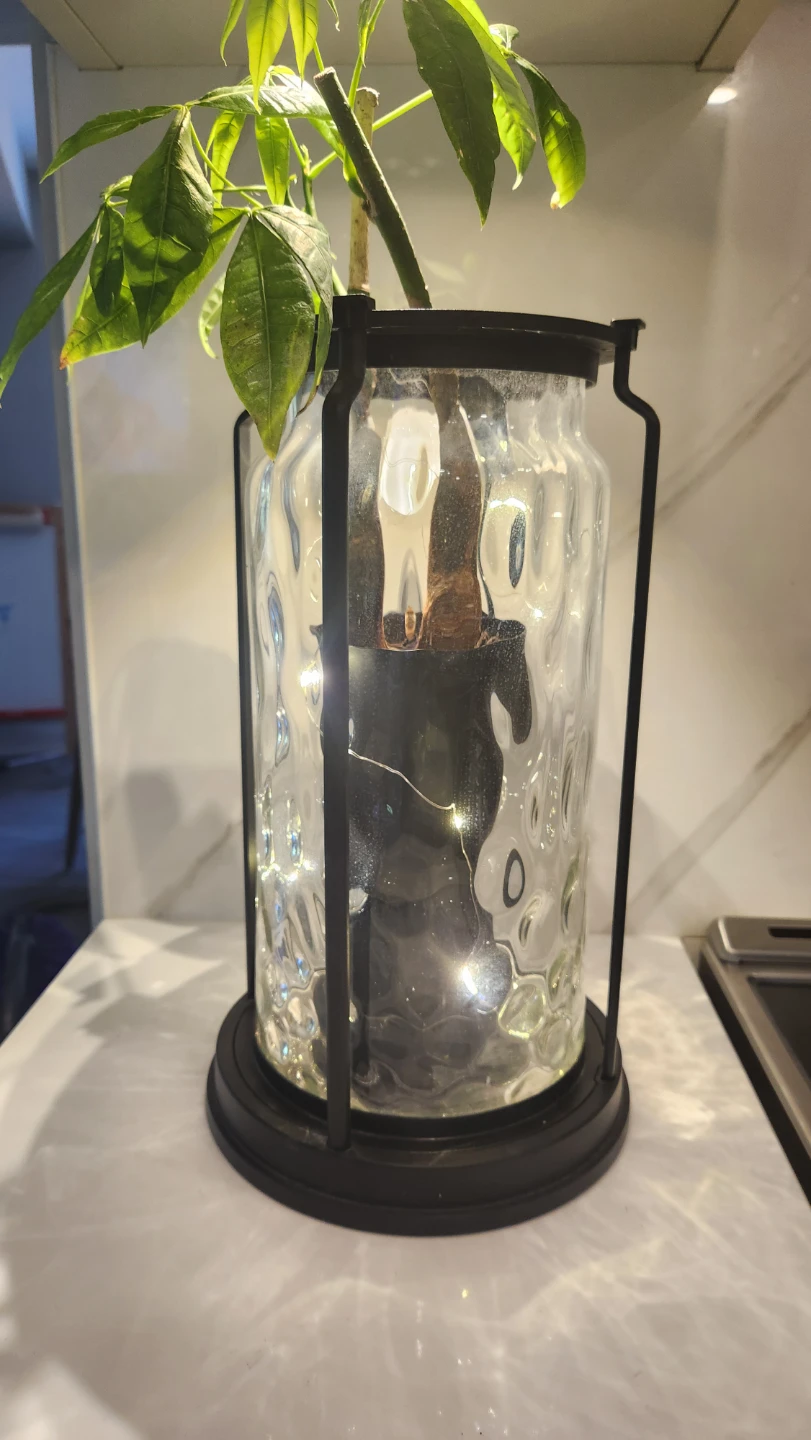 Upcycled lantern with plants and lights