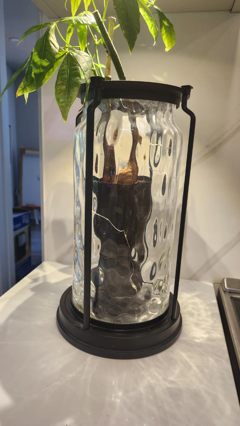 Upcycled lantern with plants and lights - photo 3
