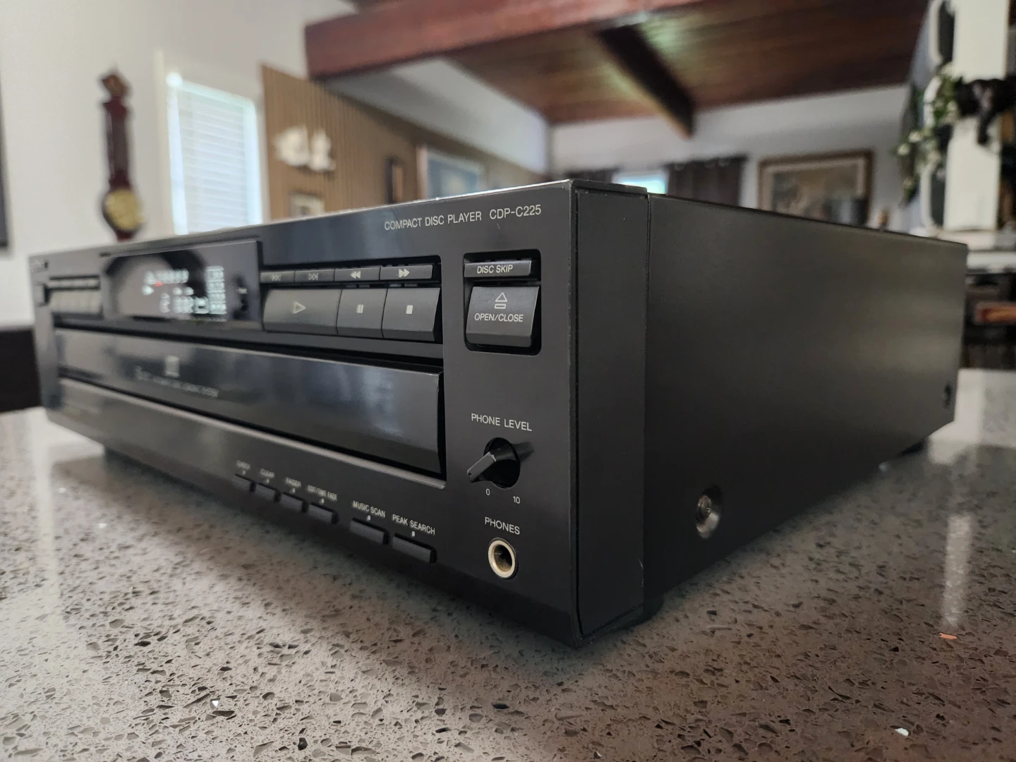 Sony 5-Disc CD Player - photo 3