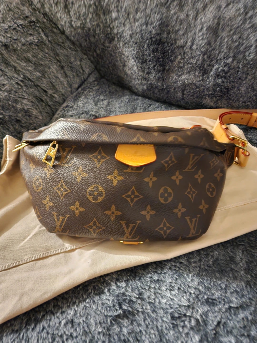 Monogram Bum Bag