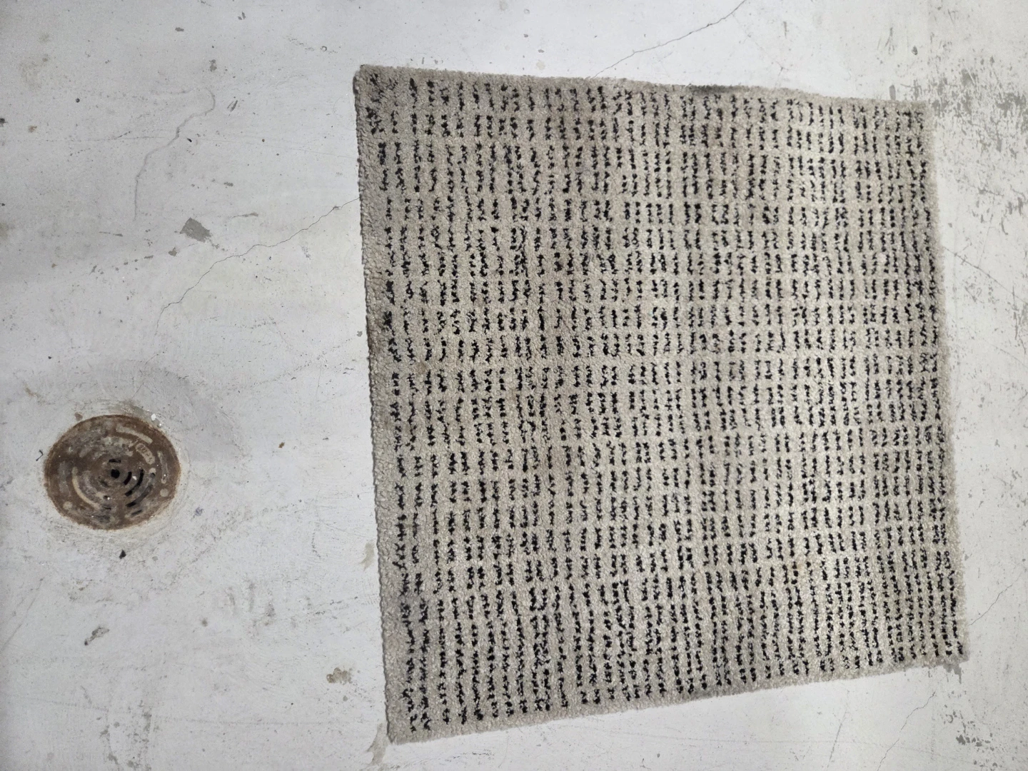 Area Rug - photo 3