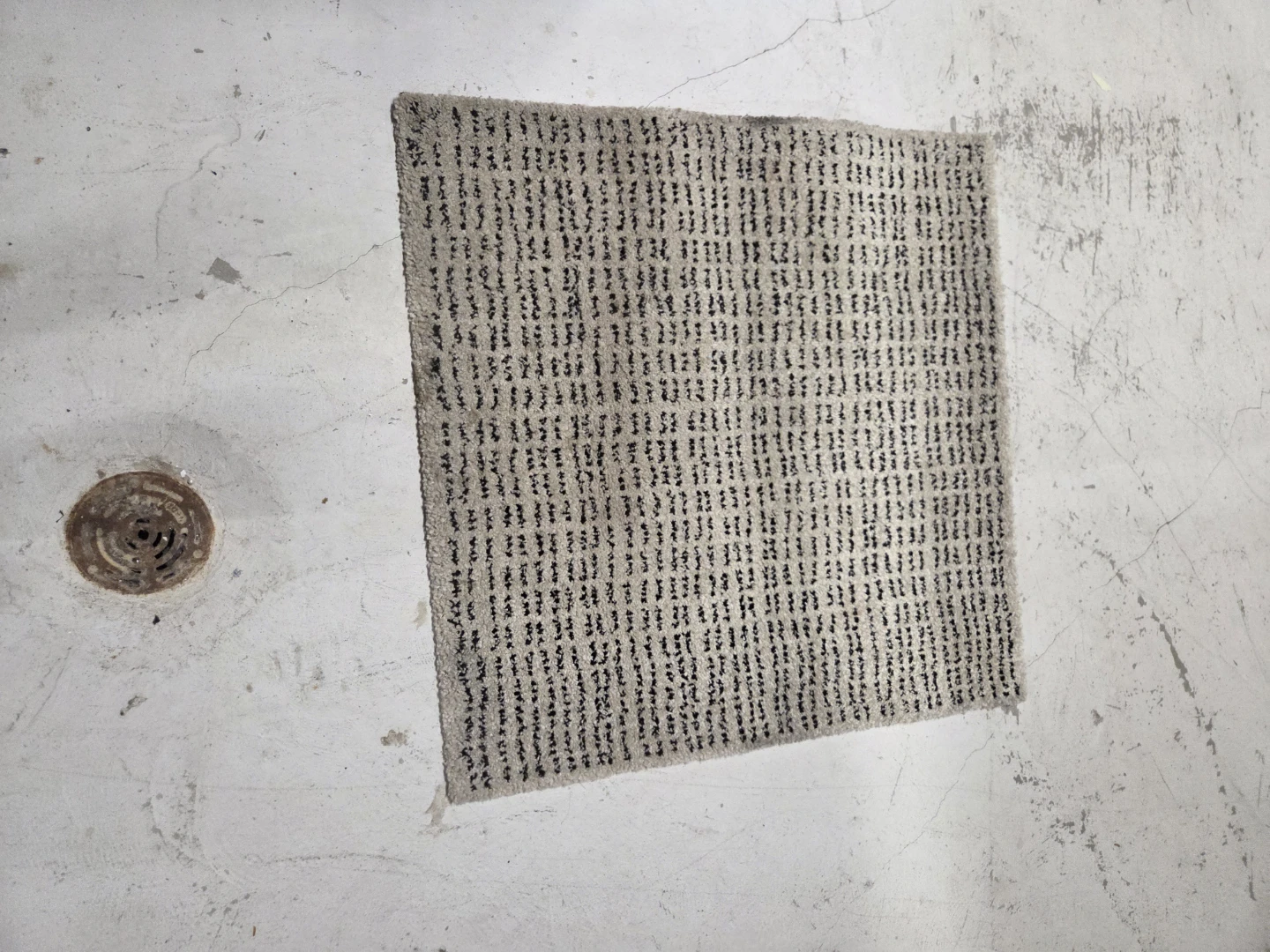 Area Rug - photo 5