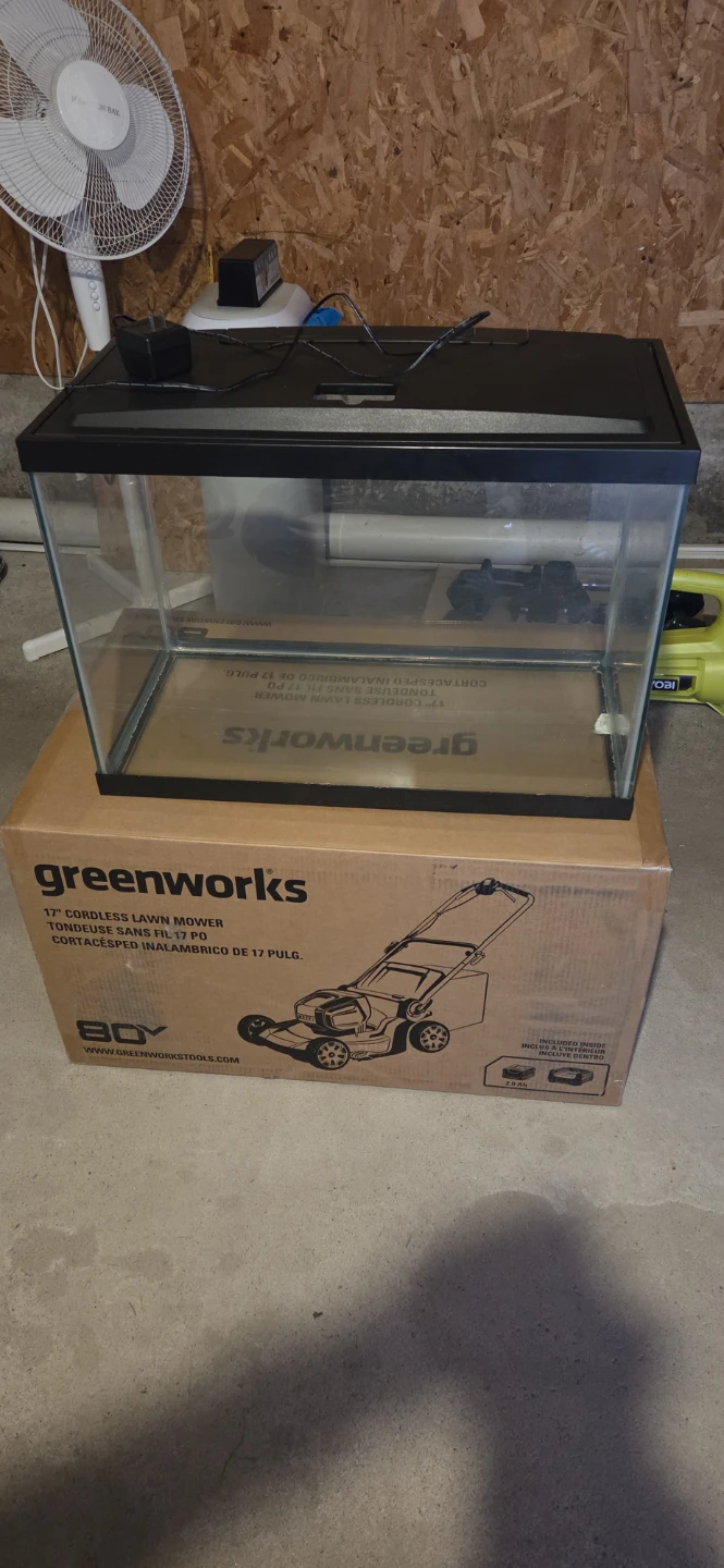 10 Gallon Aquarium