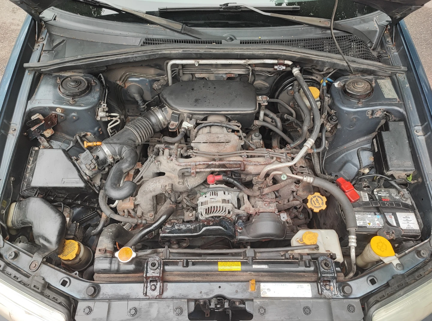 2007 Subaru Forester Special Edition, Bloor/DVP - photo 4