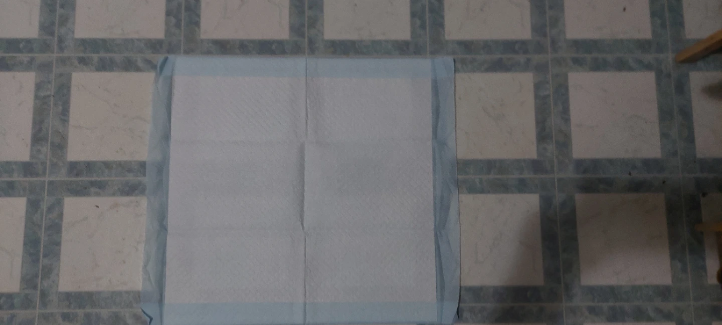Puppy pads, 19" x 22" - photo 3