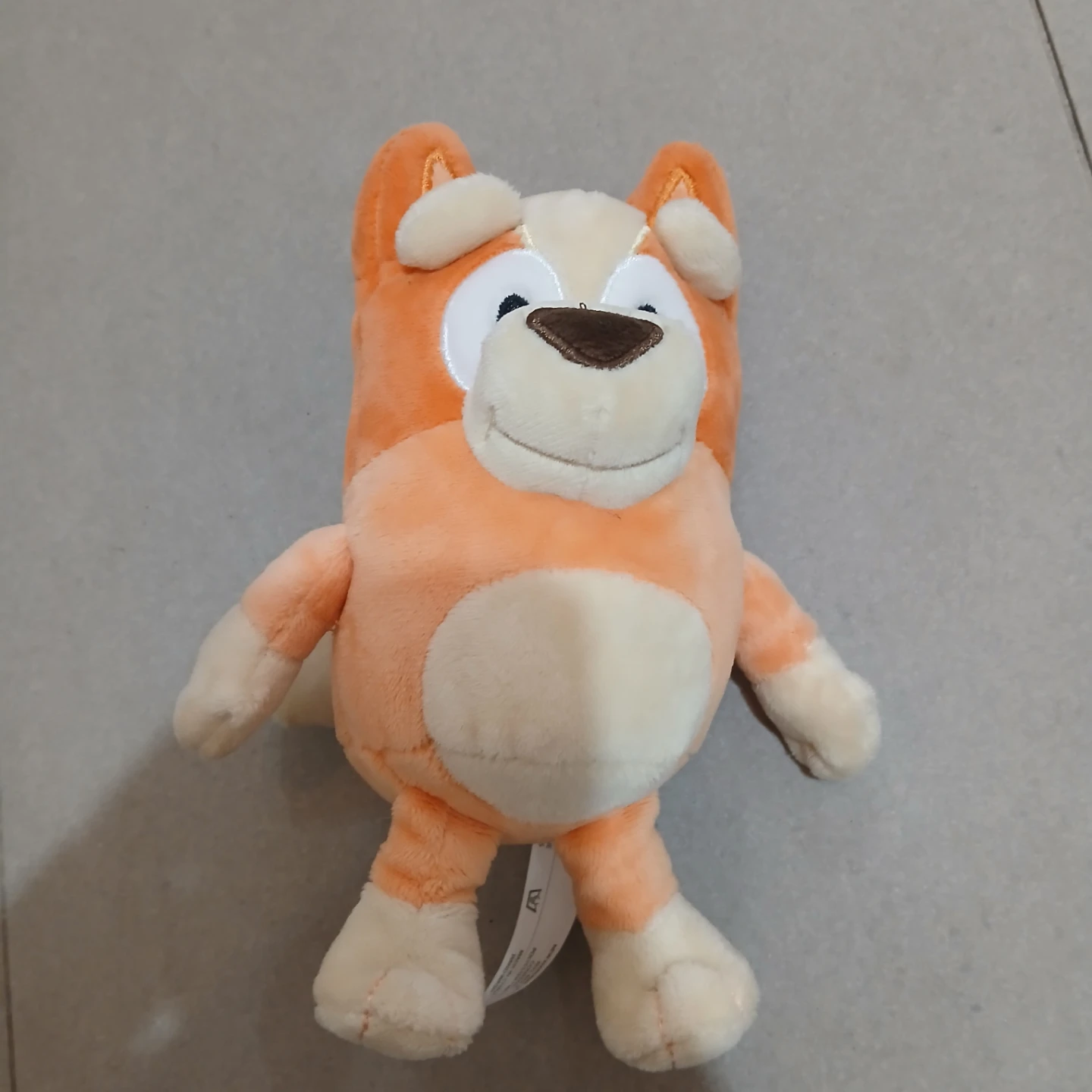 ⚽ Mini Bluey Bingo Plush Toy
